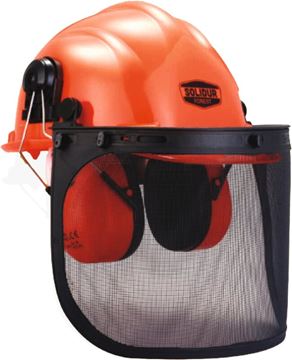 Image de CASQUE FORESTIER 3/1 avec protège nuque